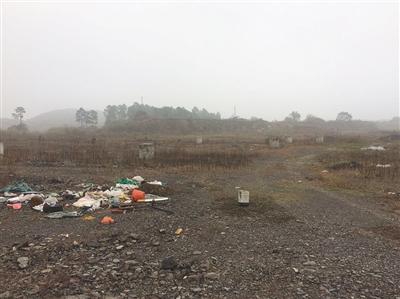 涉資600億 樂視國內(nèi)兩大項目未現(xiàn)施工跡象