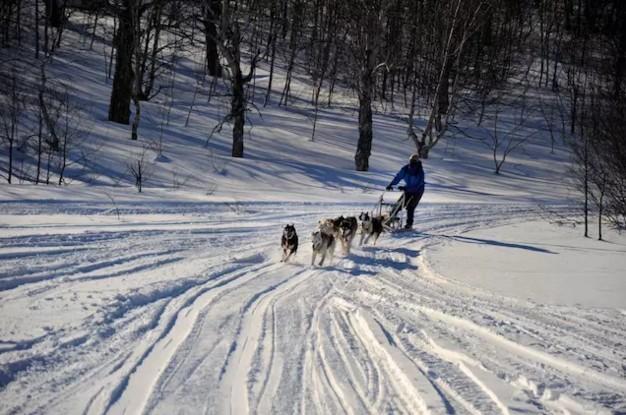 為什么那些線上起家的旅行服務(wù)商，都紛紛做起了地接？