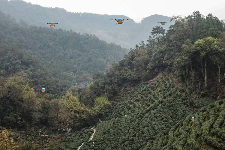 獅峰龍井第一采由無人機運輸_宇辰網(wǎng)_讓世界讀懂無人機_全球?qū)I(yè)無人機服務(wù)資訊平臺