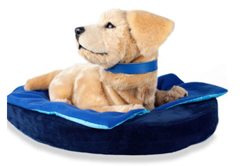 機(jī)器人能否拯救全球老齡化問題？