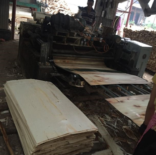 從圓木到板皮，你需要知道的幕后制造絕招