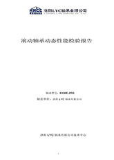 1.6306E-2rZ壽命試驗報告