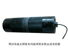 雨潤(rùn)華電動(dòng)托輥外觀圖