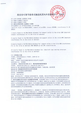 13科技查新報告